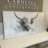Highland Cow Canvas