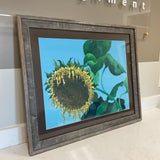 Sunflower Framed Art