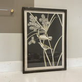 Black & White Bird Print