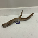 Branch