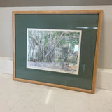 Framed Lithograph of " The Banyan Tree", Key West