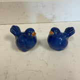 Pair of Blue Birds