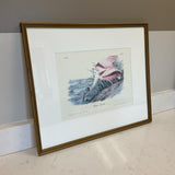 Roseate Spoonbill Print