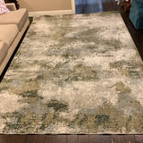 7'10" x 10'10" Oriental Weavers Evolution Rug