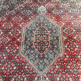 10x8 Oriental Rug