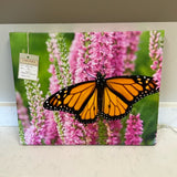 Butterfly Canvas