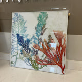 Coral Framed Art
