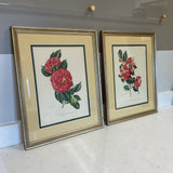 Pair of Camellia Flower Art by Lila Moore Keen