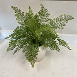 Greenery in White Planter