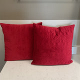 Pair of Red Pillows