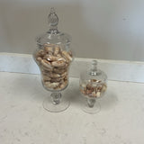 Pair of Apothecary Jars with Shells