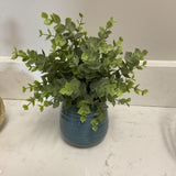 Greenery in Blue Planter